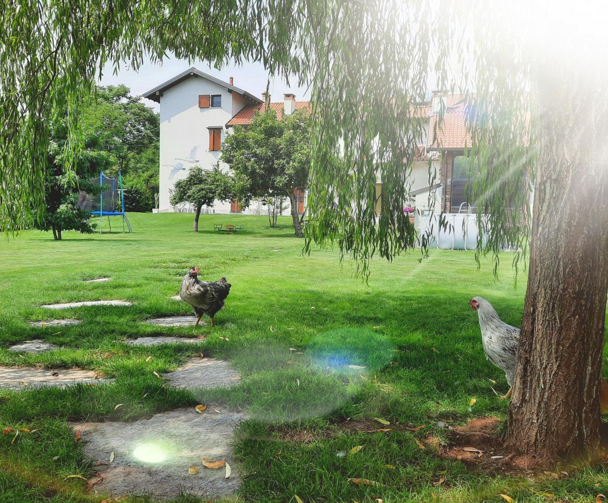 Cascina Al Ponte Apartment Nosate ห้อง รูปภาพ